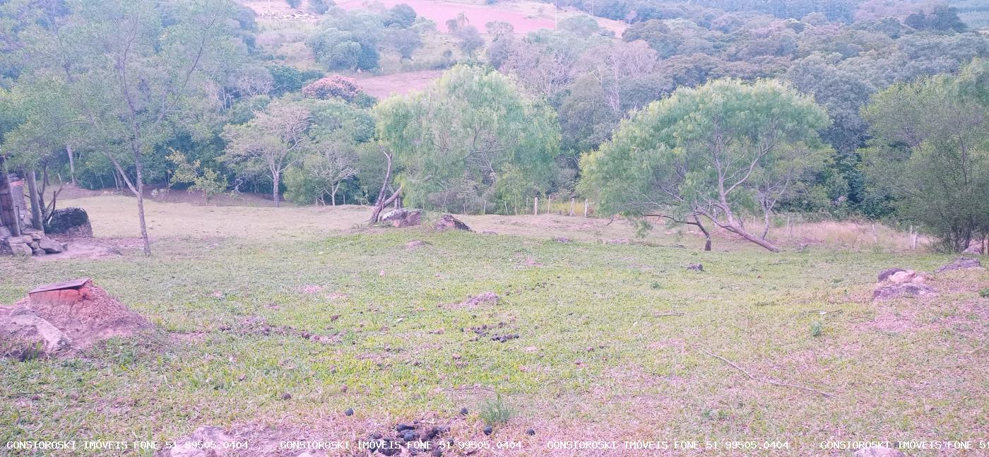 Chácara, 2 quartos, 2 hectares - Foto 19