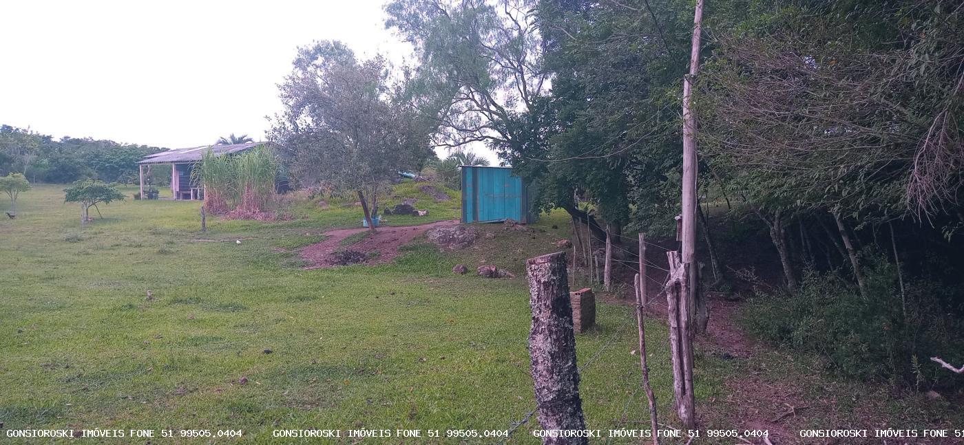 Chácara, 2 quartos, 2 hectares - Foto 20