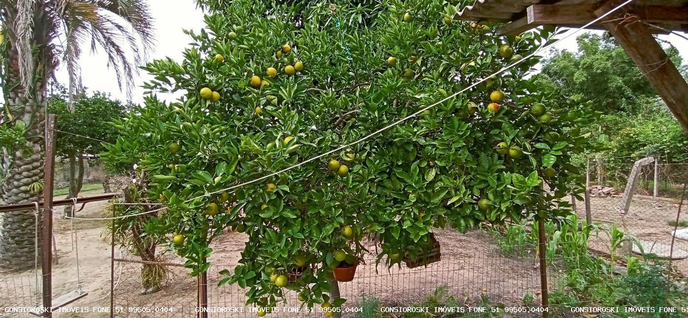 Casa, 2 quartos - Foto 14