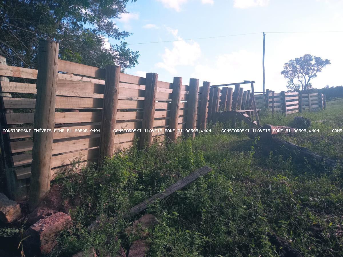 Fazenda, 40 hectares - Foto 27