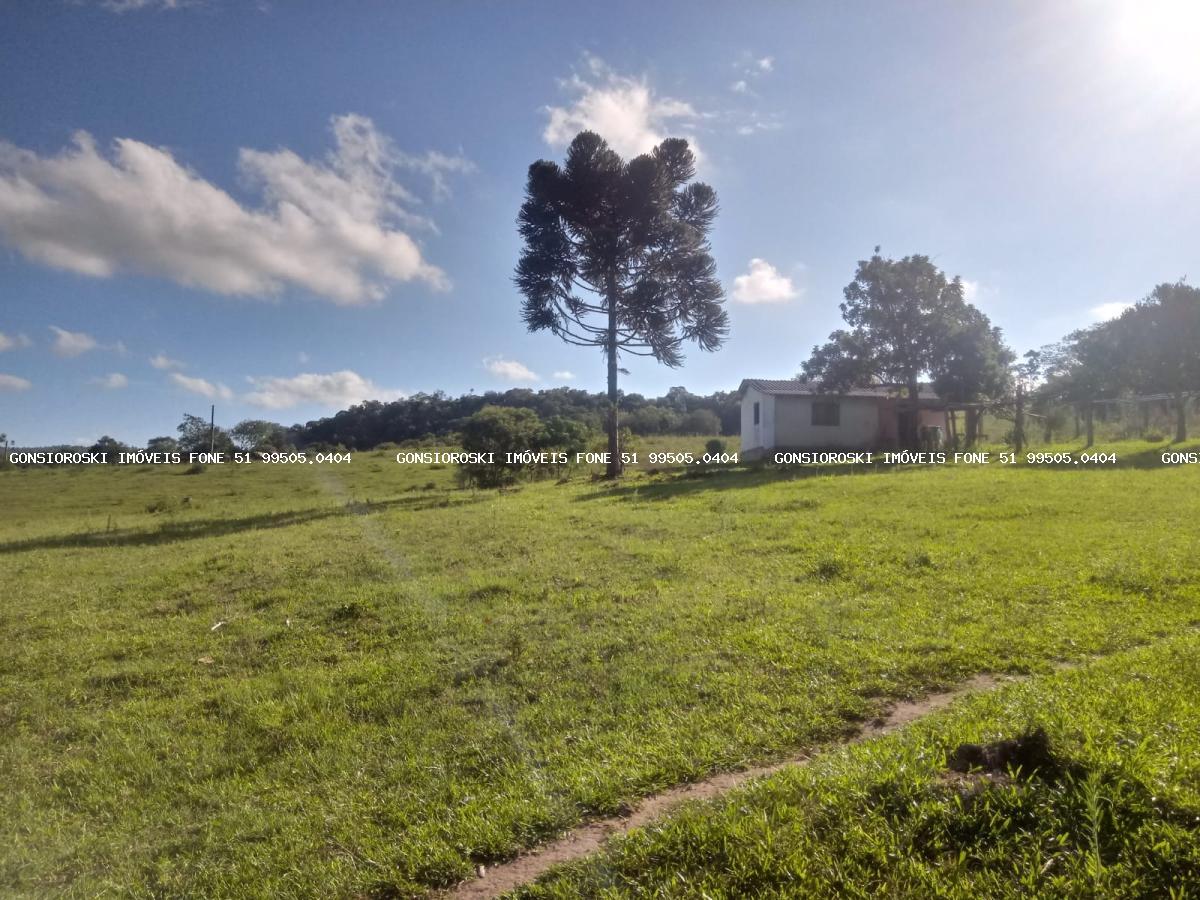 Fazenda, 40 hectares - Foto 29