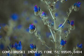 Terreno, 300 m² - Foto 1