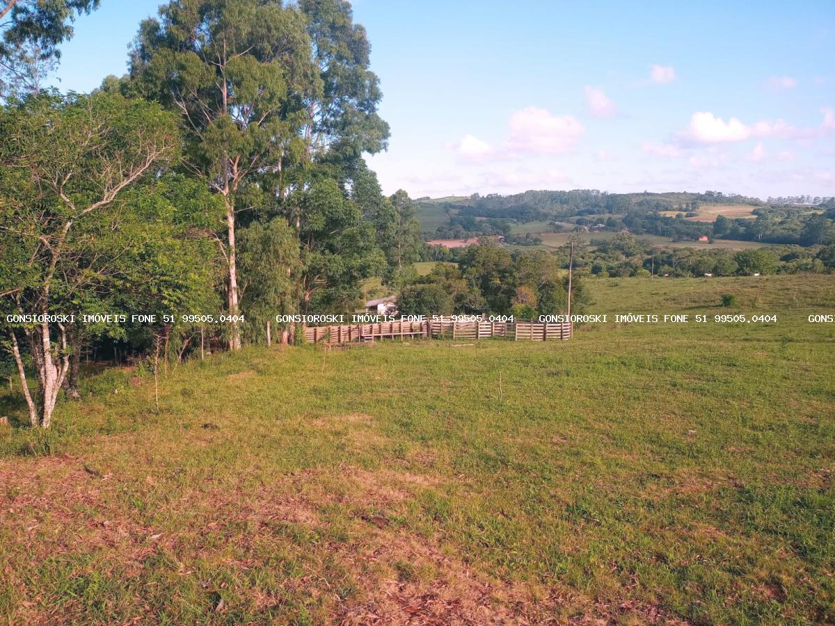 Fazenda, 40 hectares - Foto 33