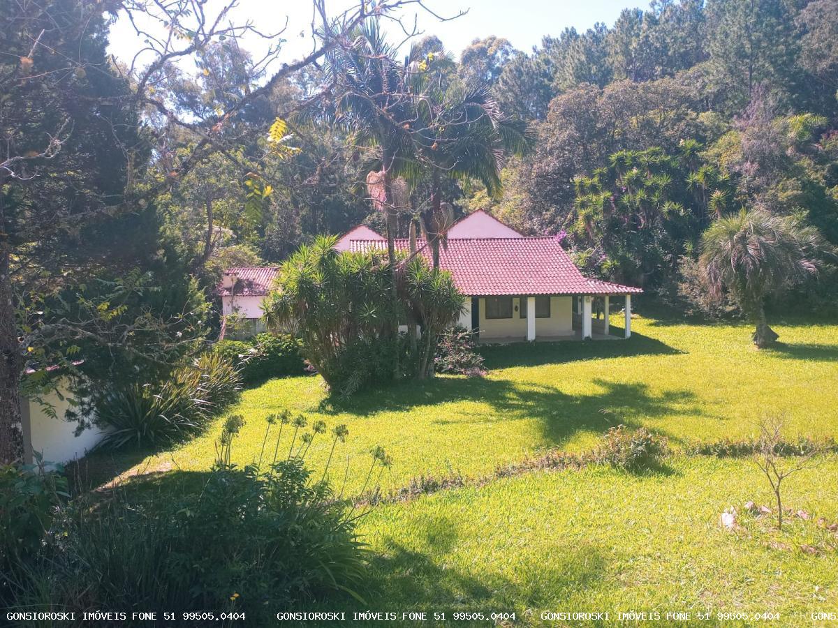 Fazenda, 80 hectares - Foto 35