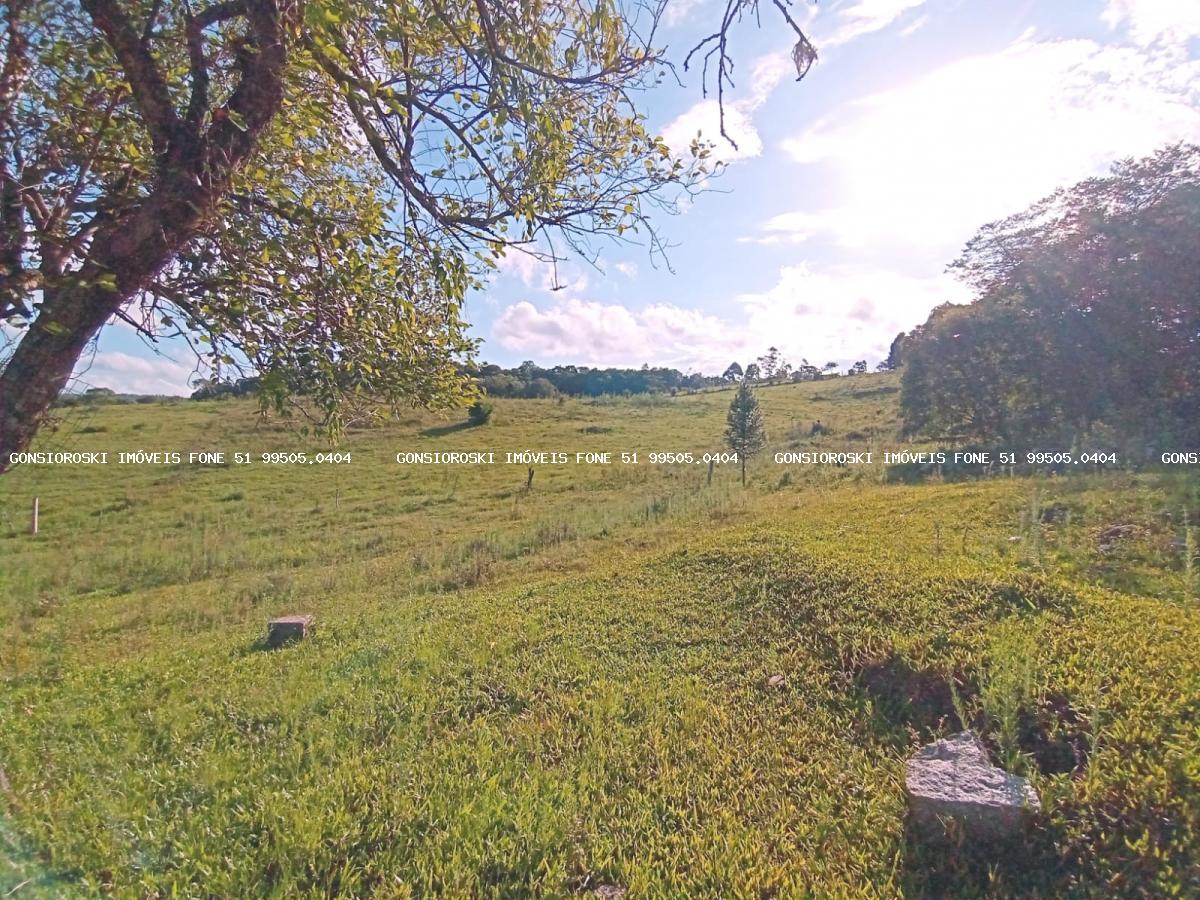 Fazenda, 40 hectares - Foto 35