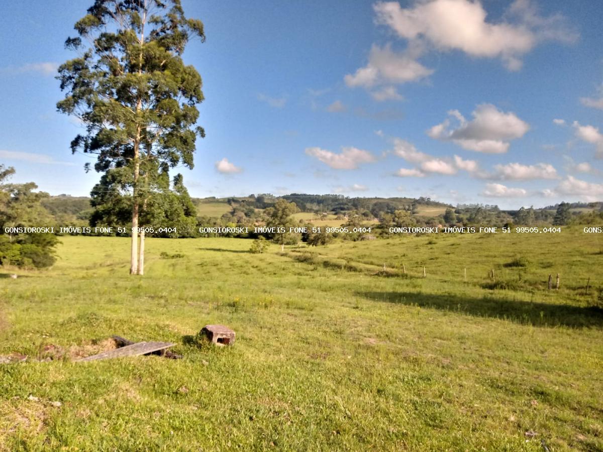 Fazenda, 40 hectares - Foto 36