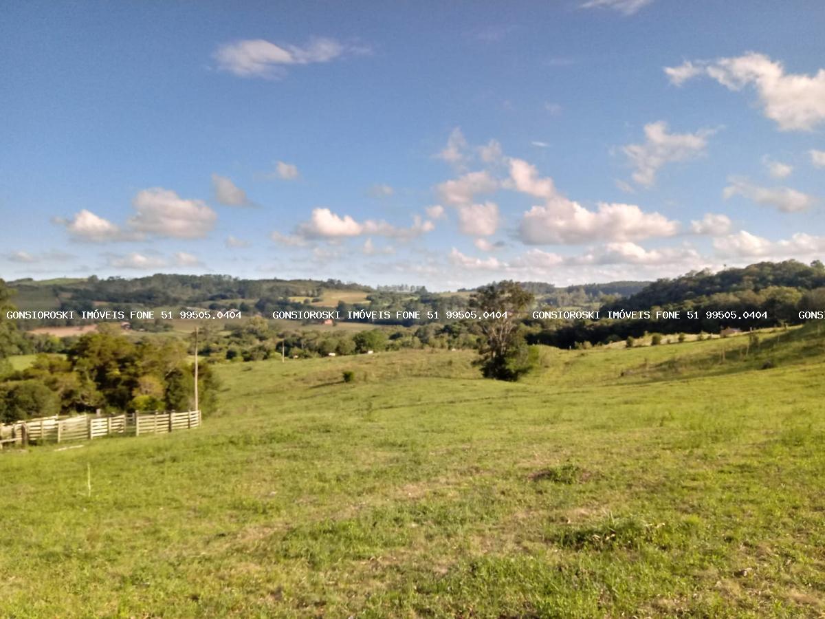 Fazenda, 40 hectares - Foto 37