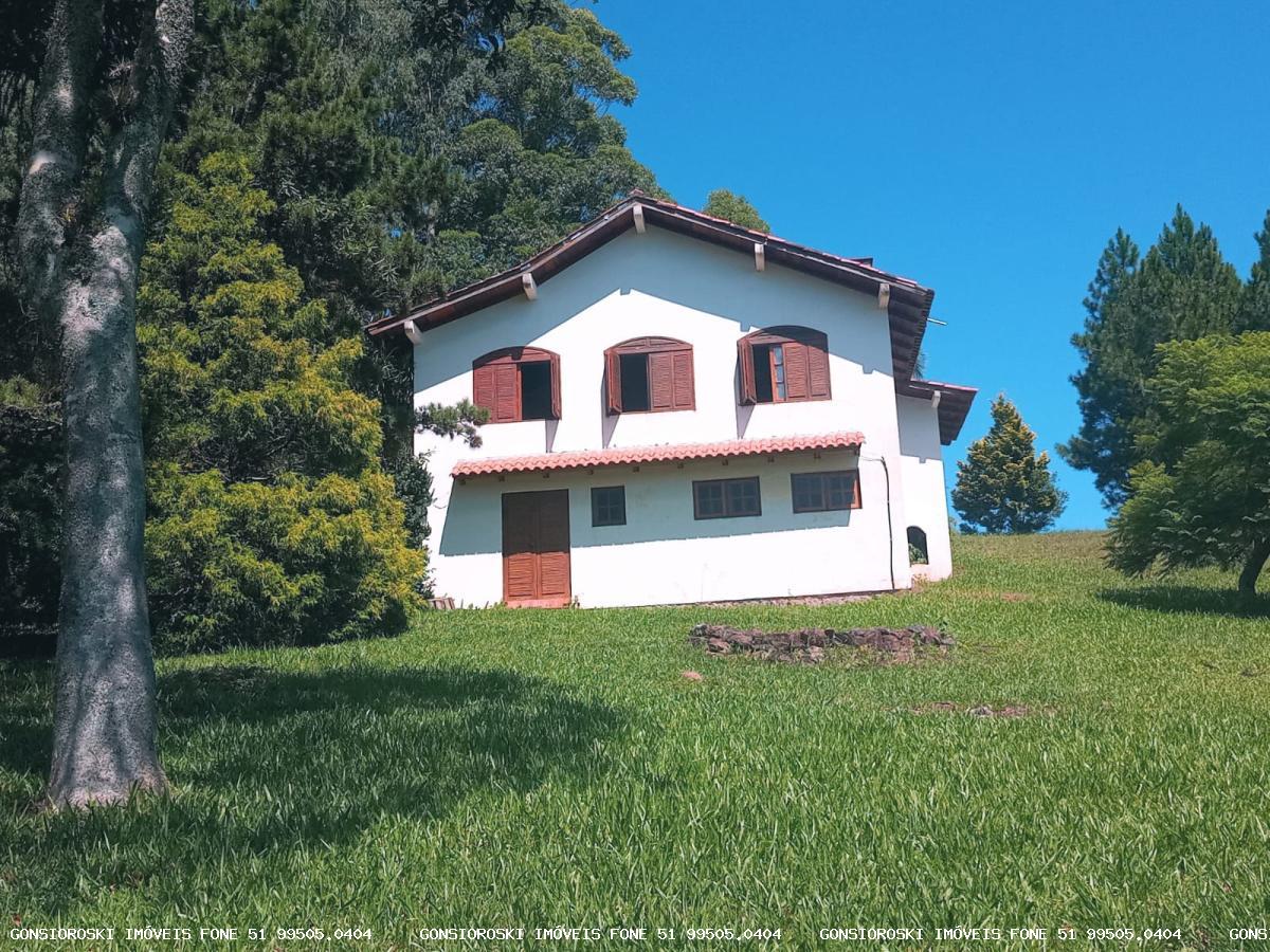 Fazenda, 80 hectares - Foto 37