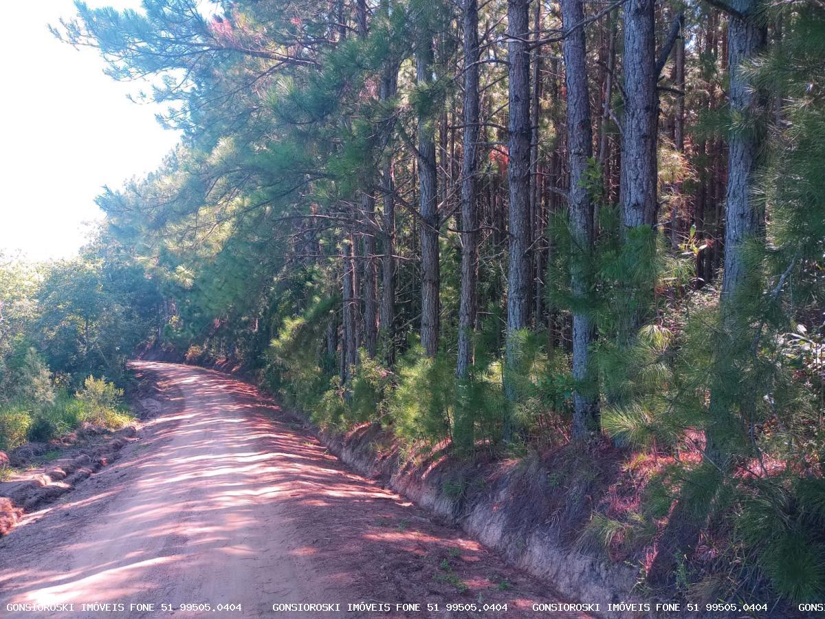 Fazenda, 80 hectares - Foto 41