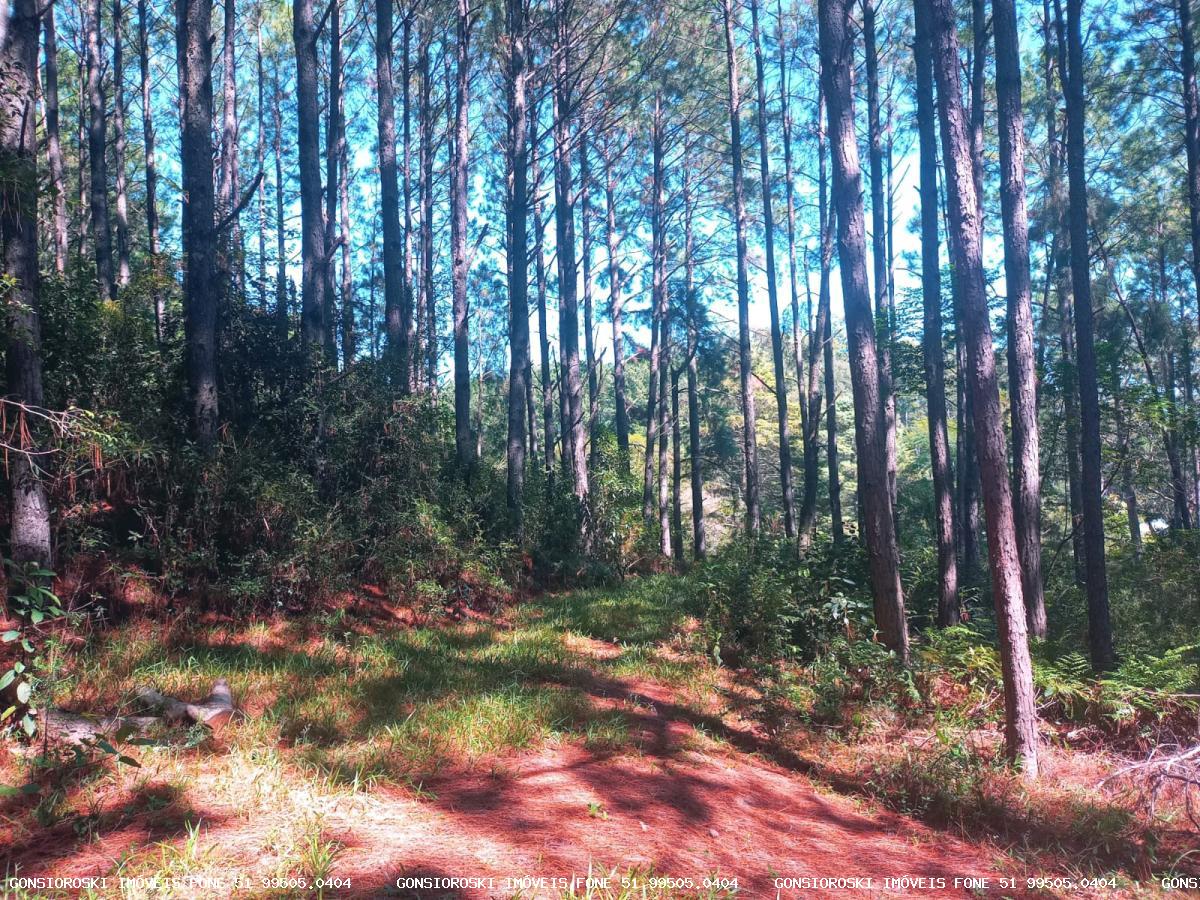 Fazenda, 80 hectares - Foto 42