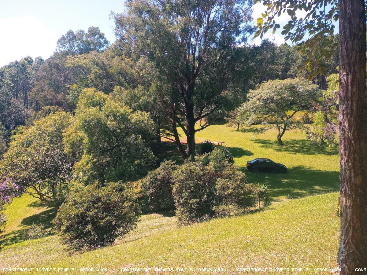 Fazenda, 80 hectares - Foto 4