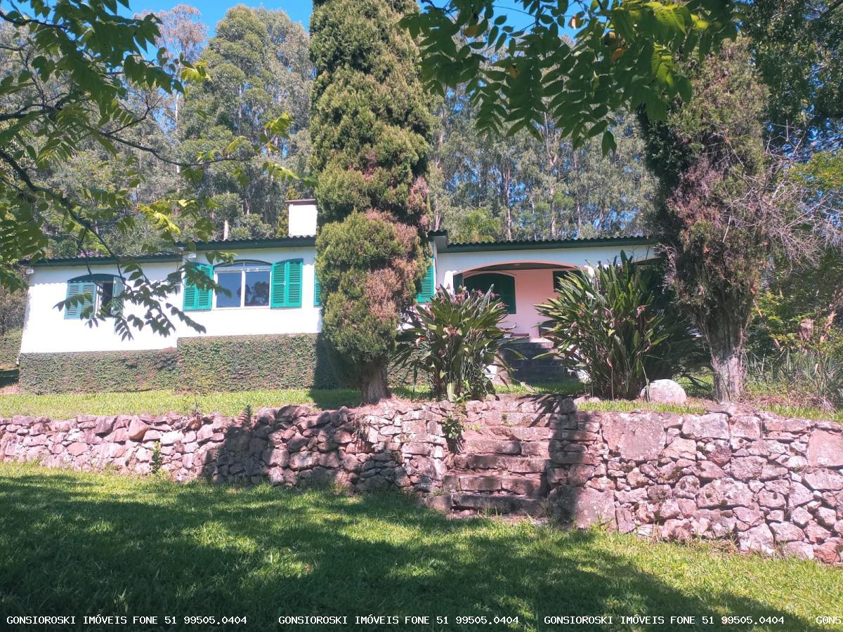 Fazenda, 80 hectares - Foto 7