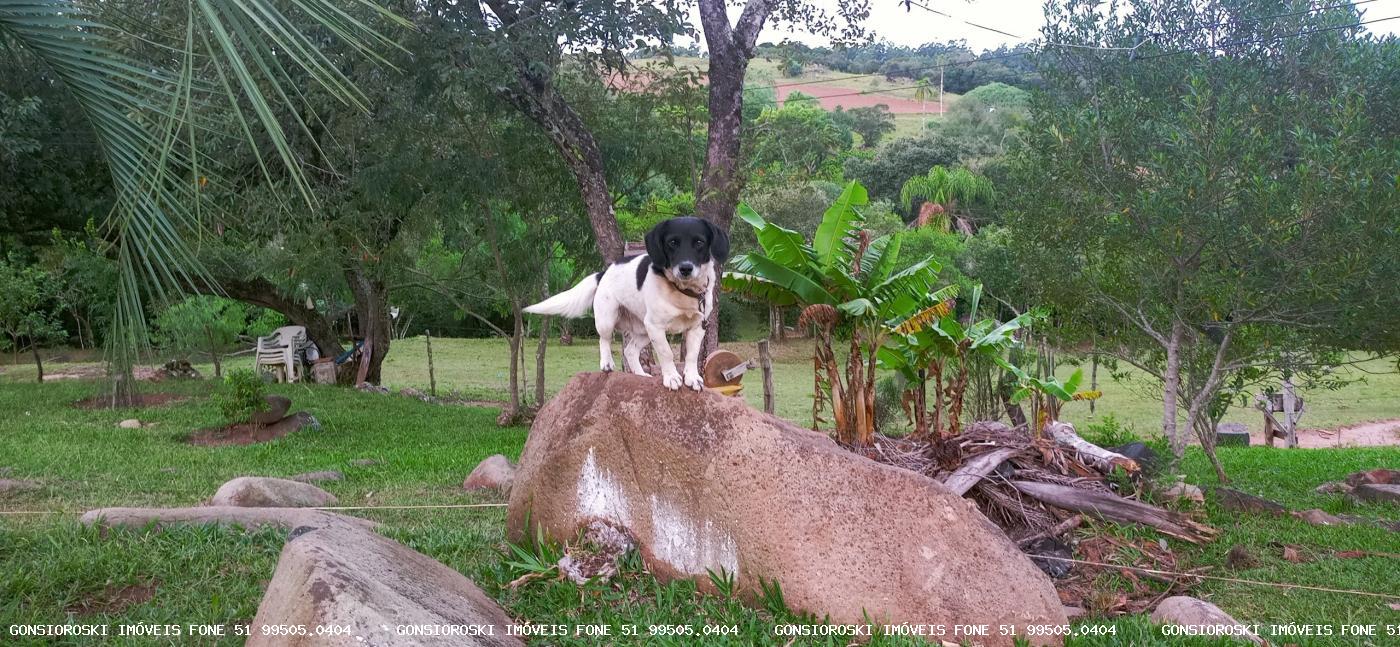 Chácara, 2 quartos, 2 hectares - Foto 15
