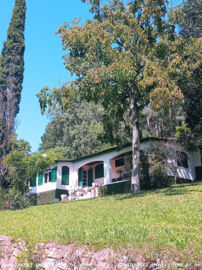 Fazenda, 80 hectares - Foto 9