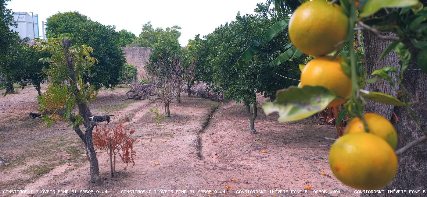 Terreno, 560 m² - Foto 11