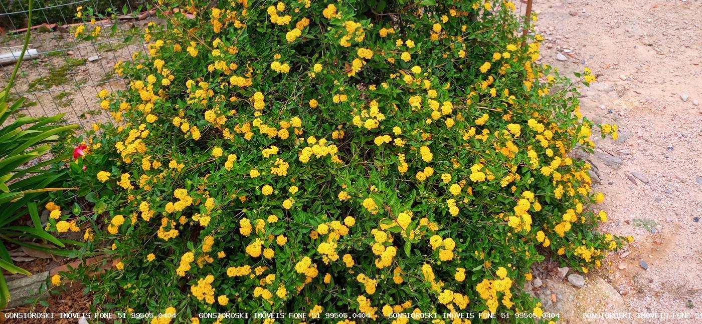 Terreno, 560 m² - Foto 12