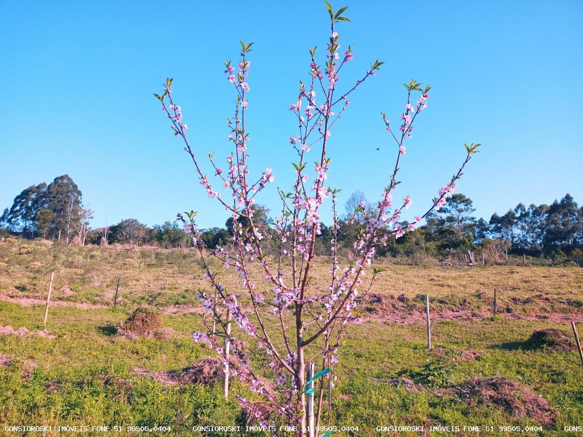 Loteamento e Condomínio, 2 hectares - Foto 2