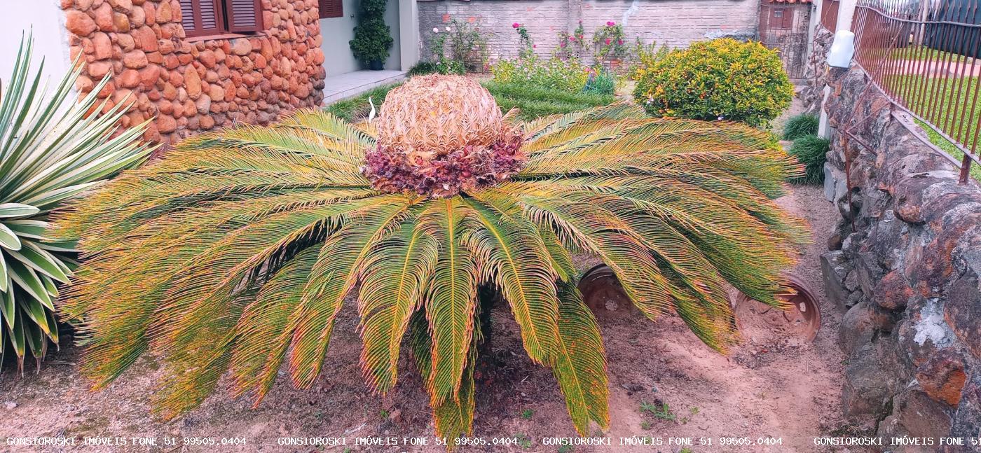 Casa, 2 quartos - Foto 15