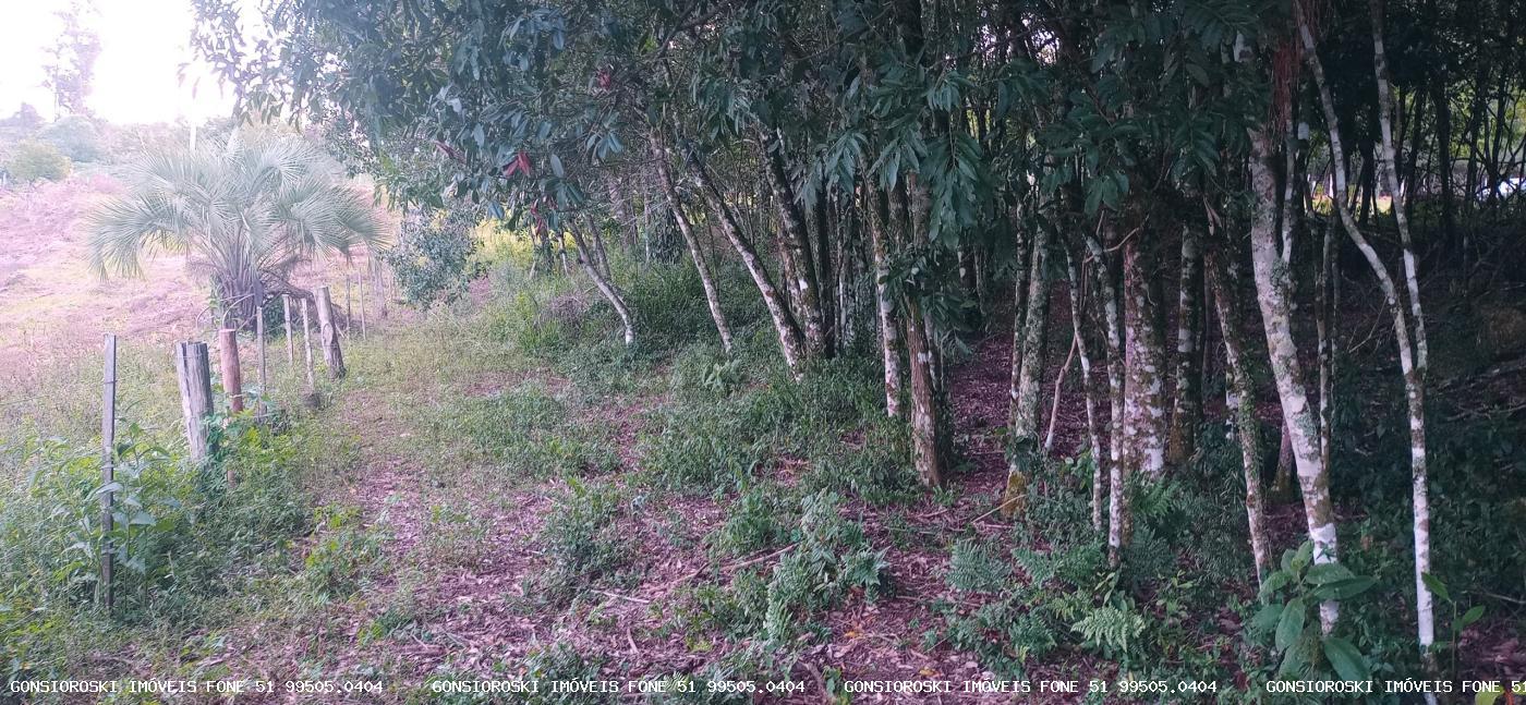 Chácara, 2 quartos, 2 hectares - Foto 28