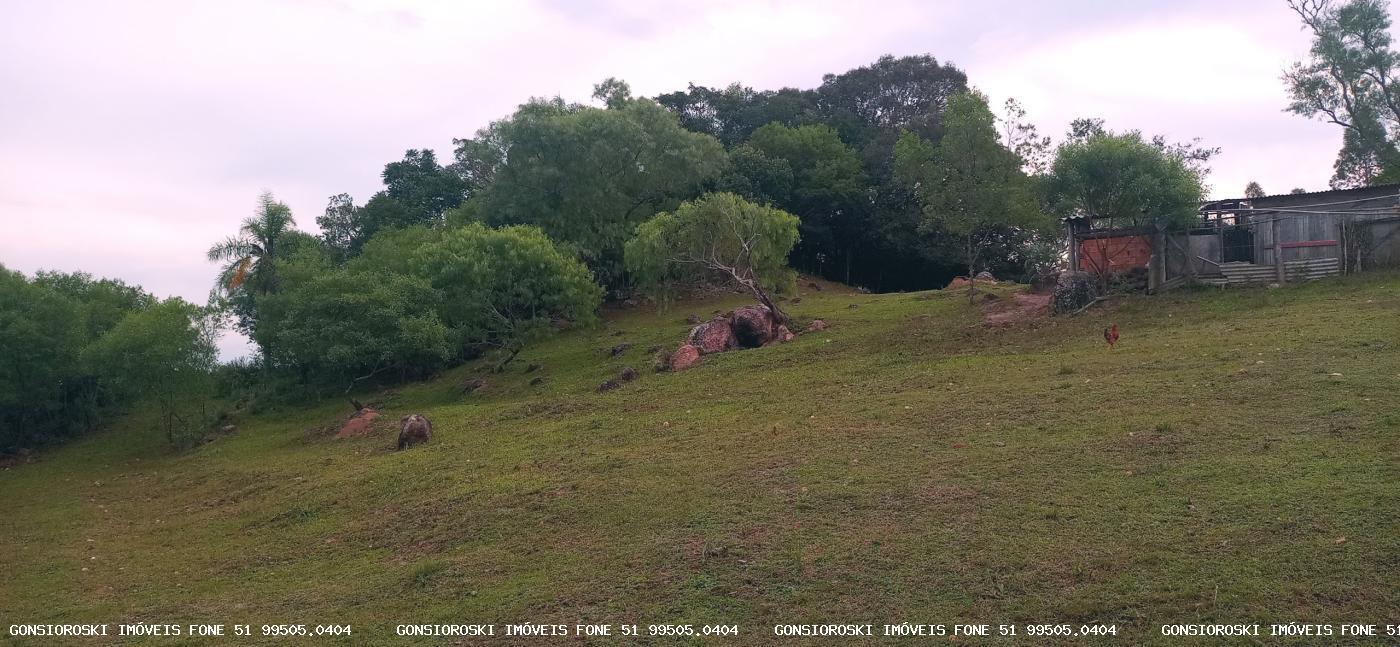 Chácara, 2 quartos, 2 hectares - Foto 22