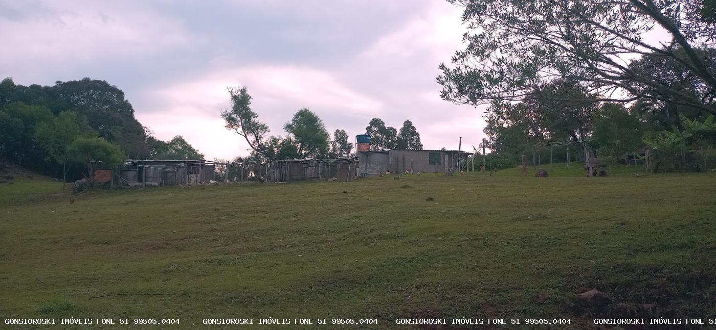 Chácara, 2 quartos, 2 hectares - Foto 23