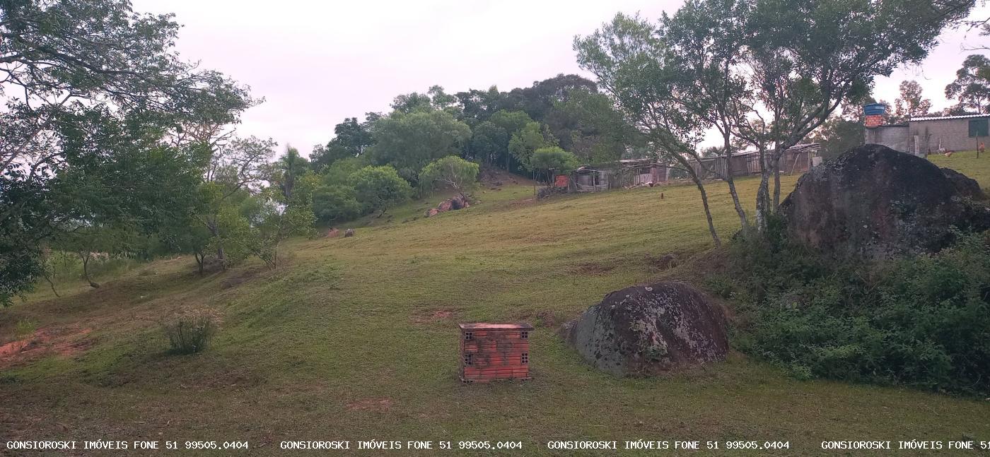 Chácara, 2 quartos, 2 hectares - Foto 24