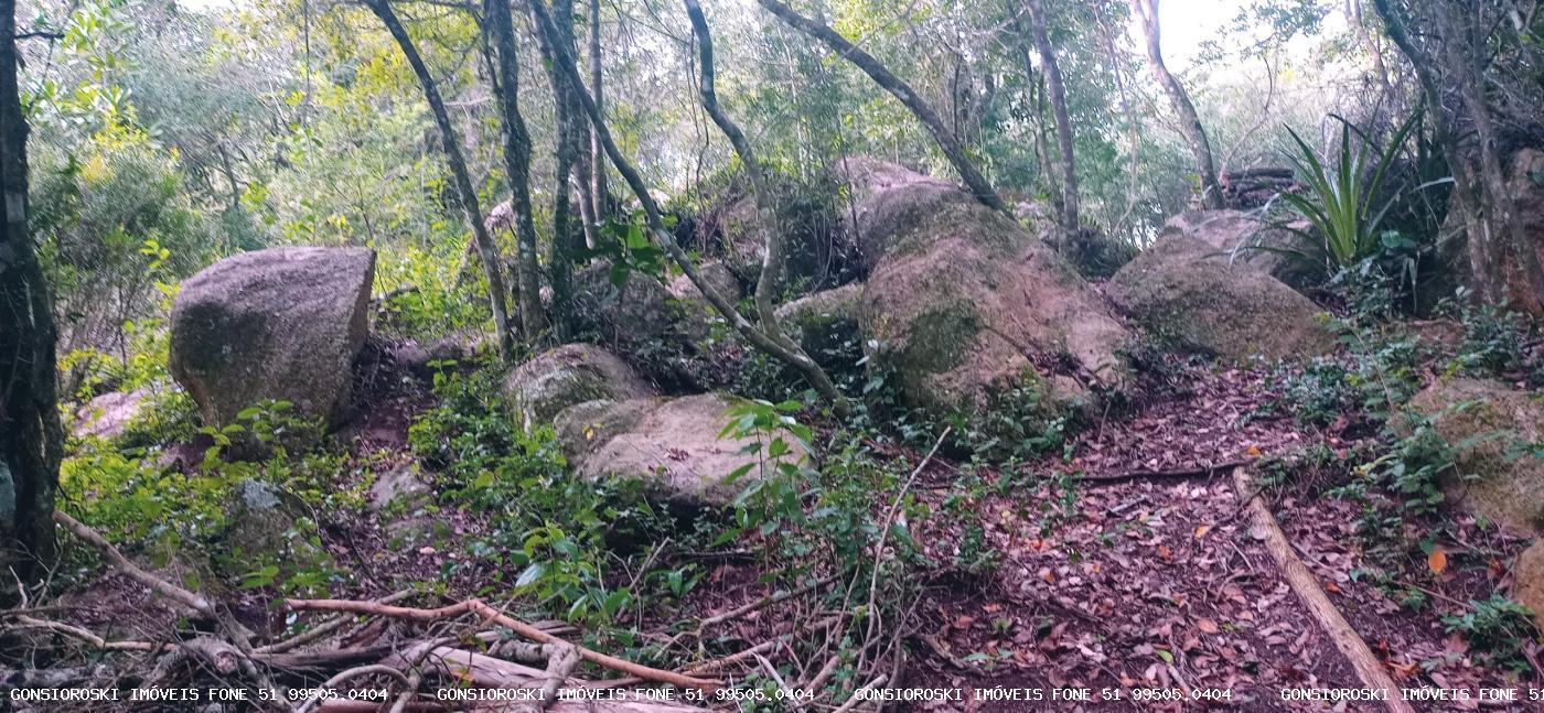 Chácara, 2 quartos, 2 hectares - Foto 29