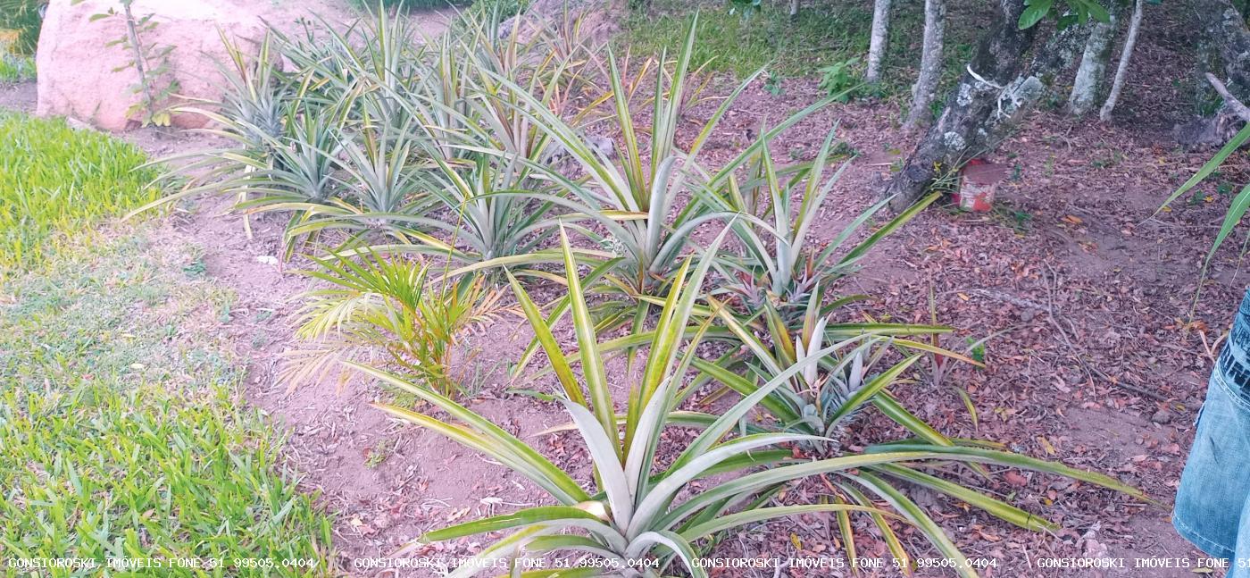 Chácara, 2 quartos, 2 hectares - Foto 30