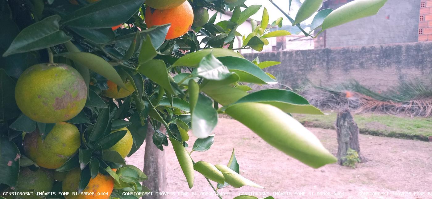 Terreno, 560 m² - Foto 7