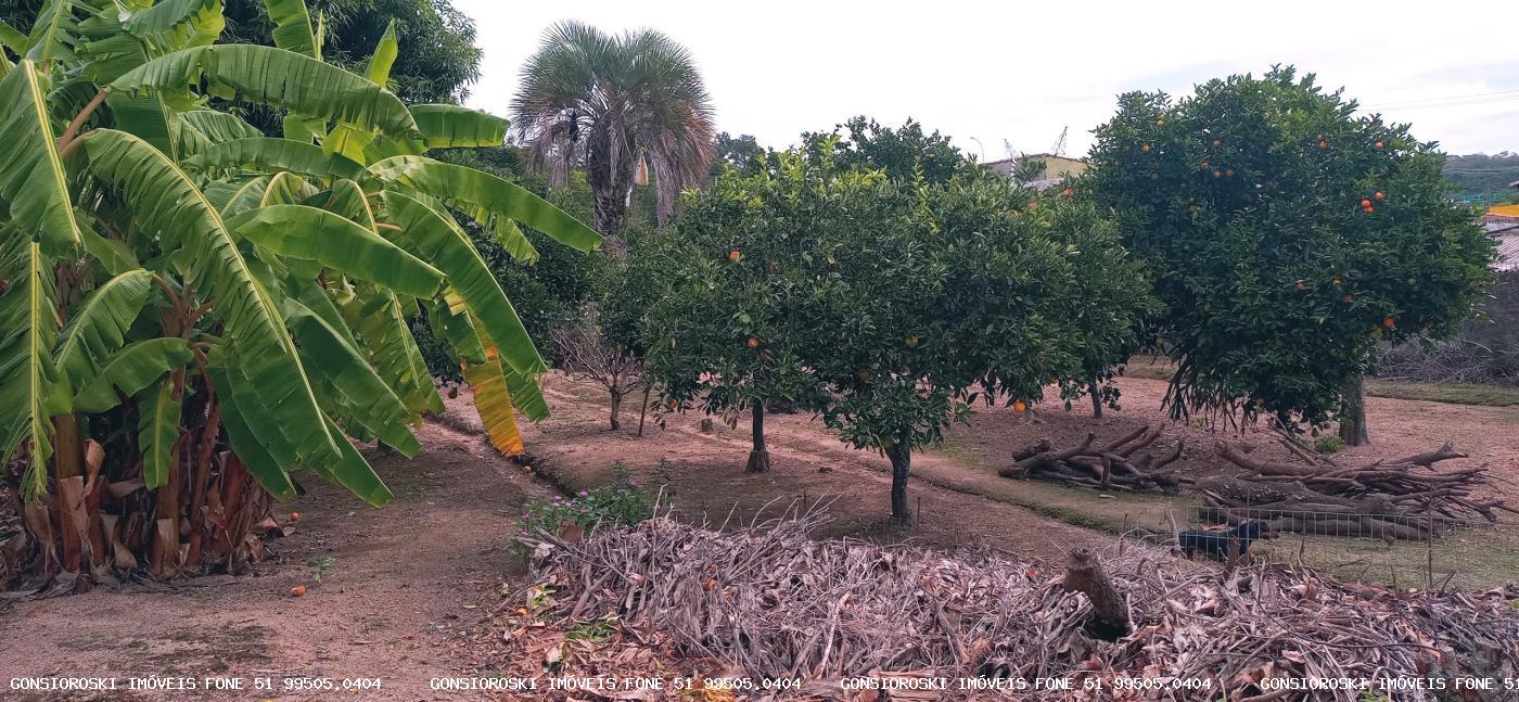 Terreno, 560 m² - Foto 9