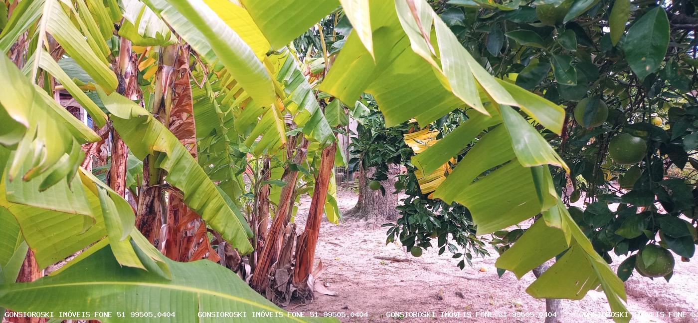 Terreno, 560 m² - Foto 10