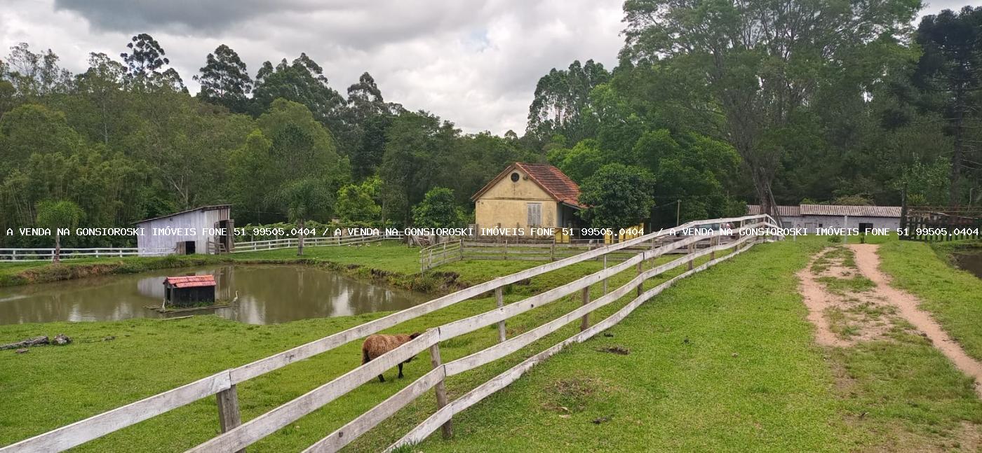 Fazenda, 13 hectares - Foto 25