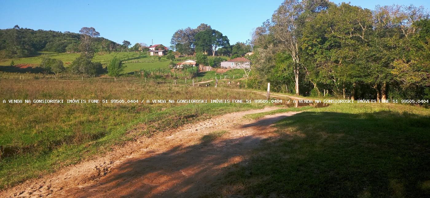 Sítio, 3 quartos, 6 hectares - Foto 11