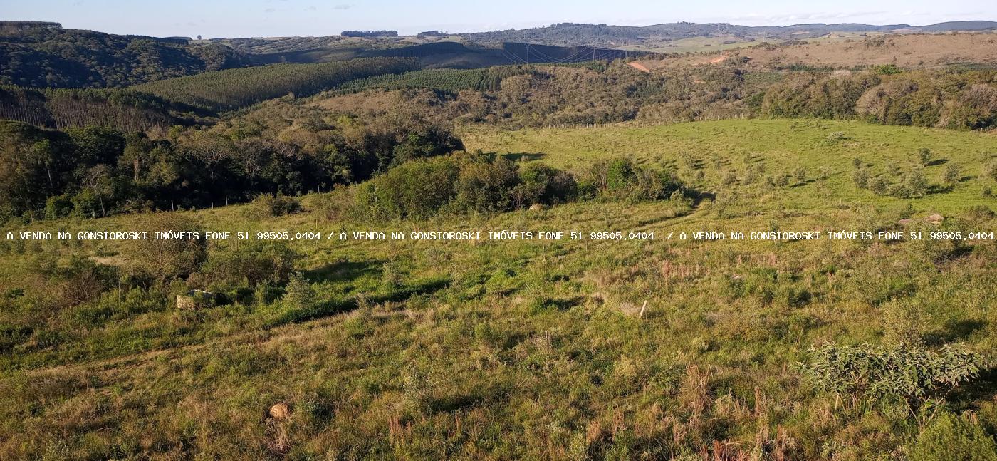 Fazenda, 19 hectares - Foto 18