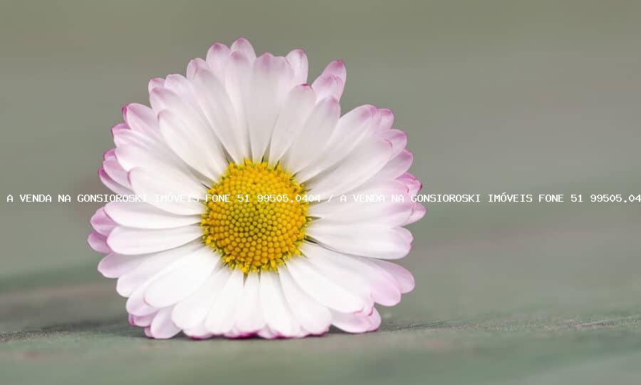 Loteamento e Condomínio, 5000 m² - Foto 9