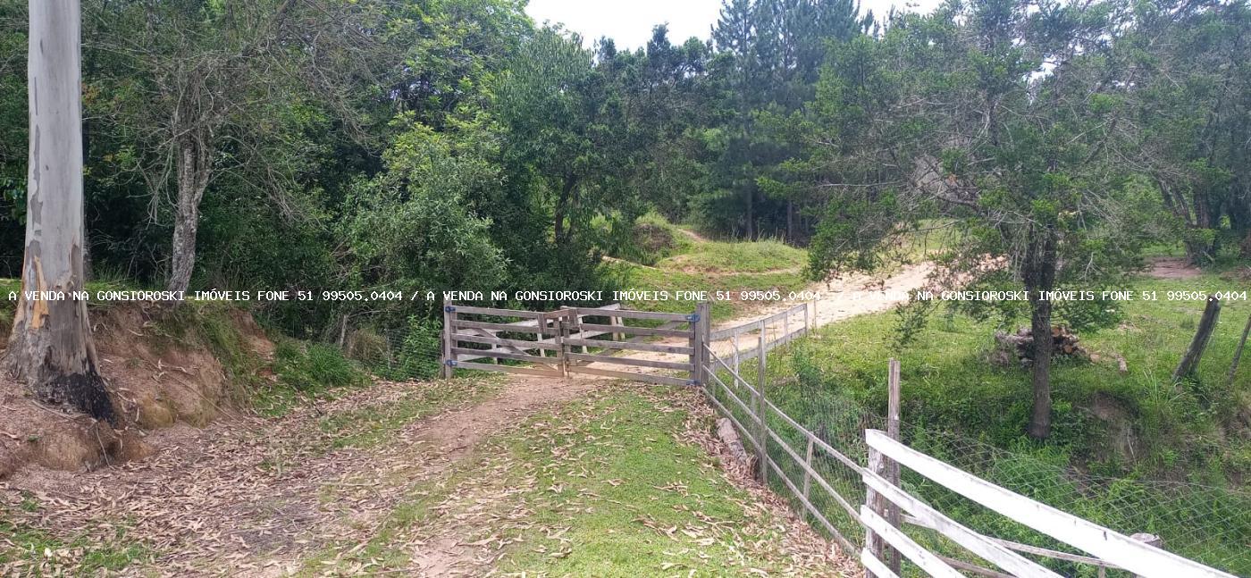 Fazenda, 13 hectares - Foto 27