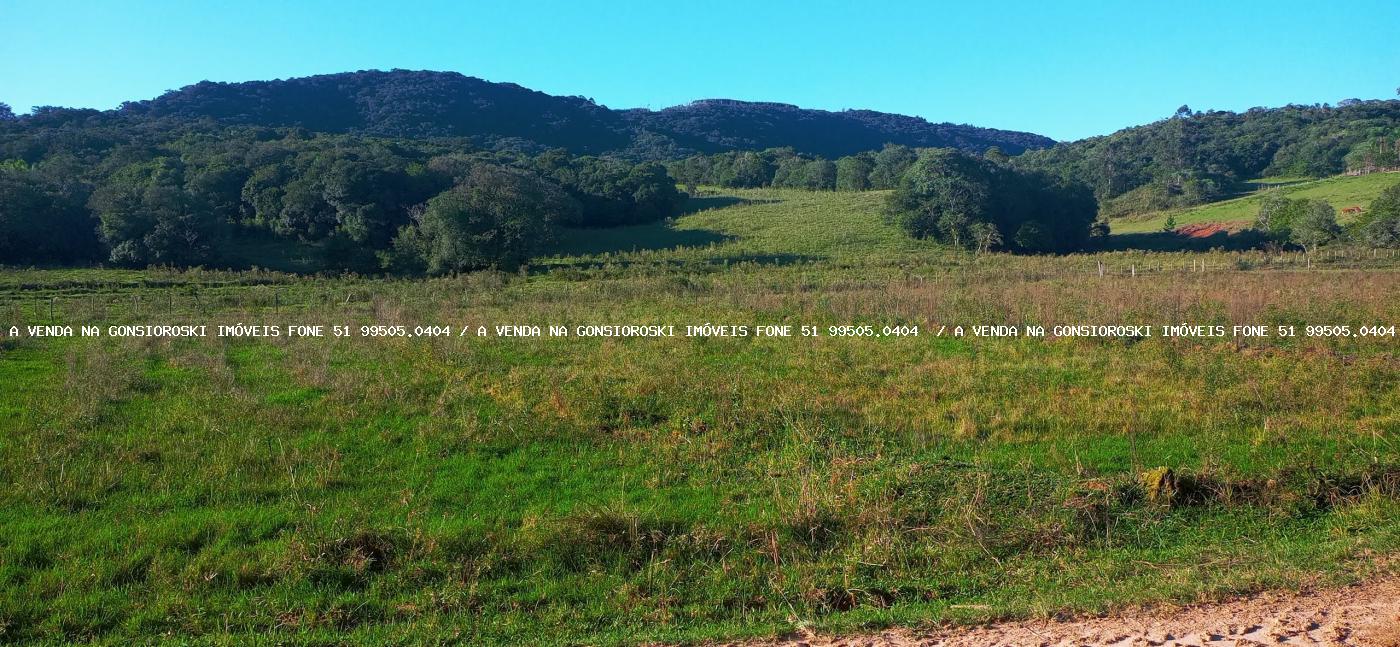 Sítio, 3 quartos, 6 hectares - Foto 13