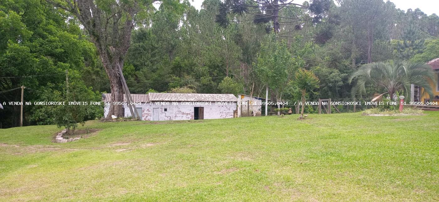 Fazenda, 13 hectares - Foto 30