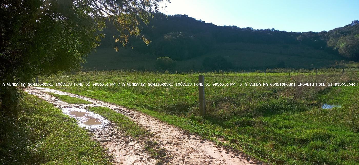 Sítio, 3 quartos, 6 hectares - Foto 14