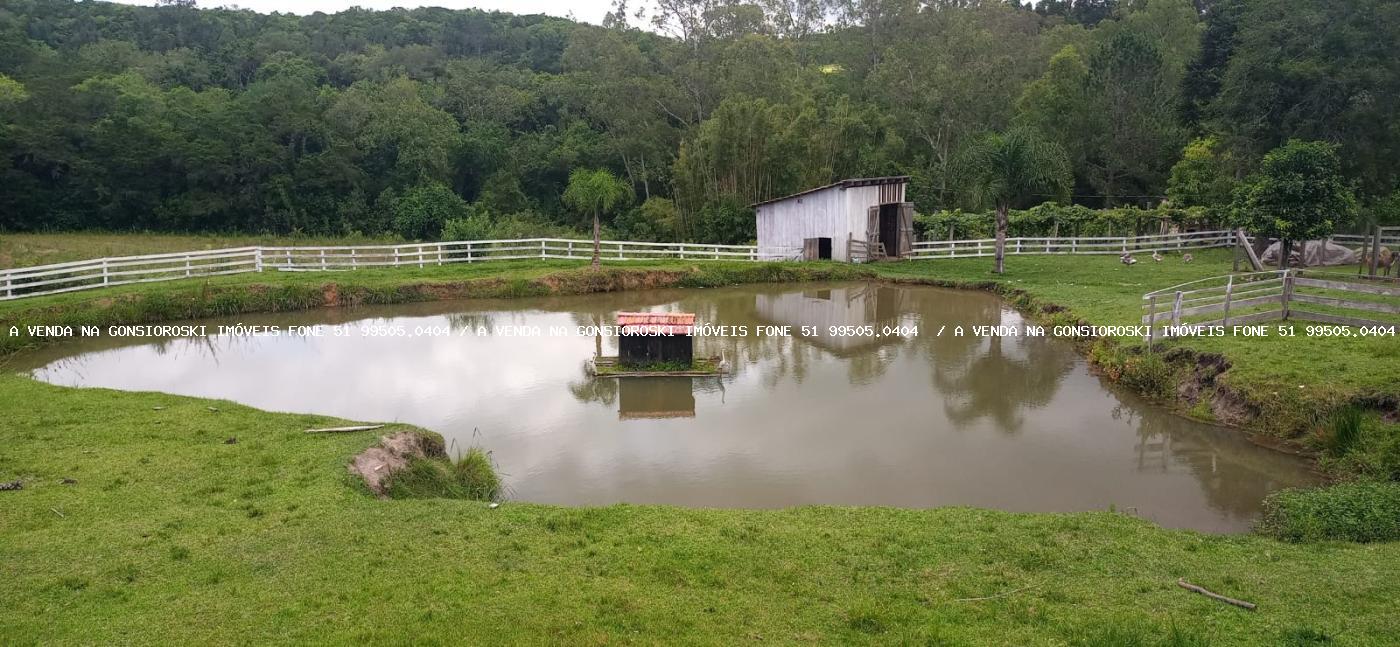 Fazenda, 13 hectares - Foto 24