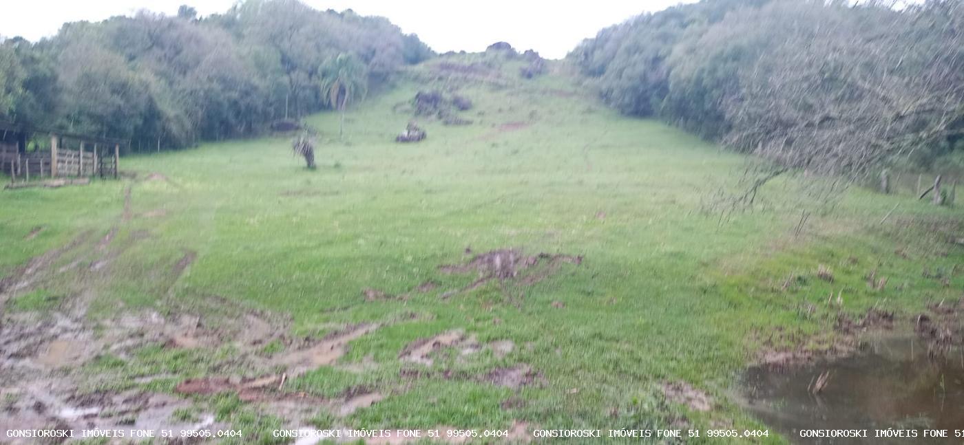 Chácara, 1 quarto, 2 hectares - Foto 11