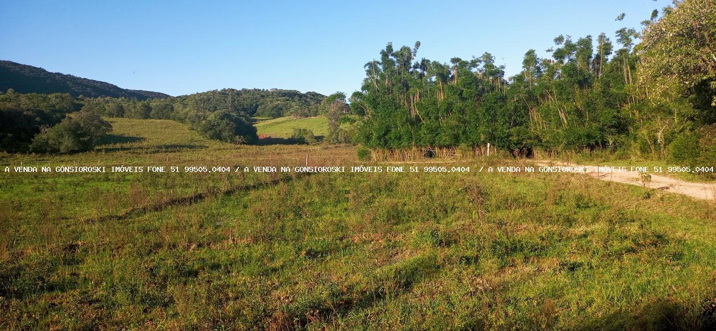 Sítio, 3 quartos, 6 hectares - Foto 15