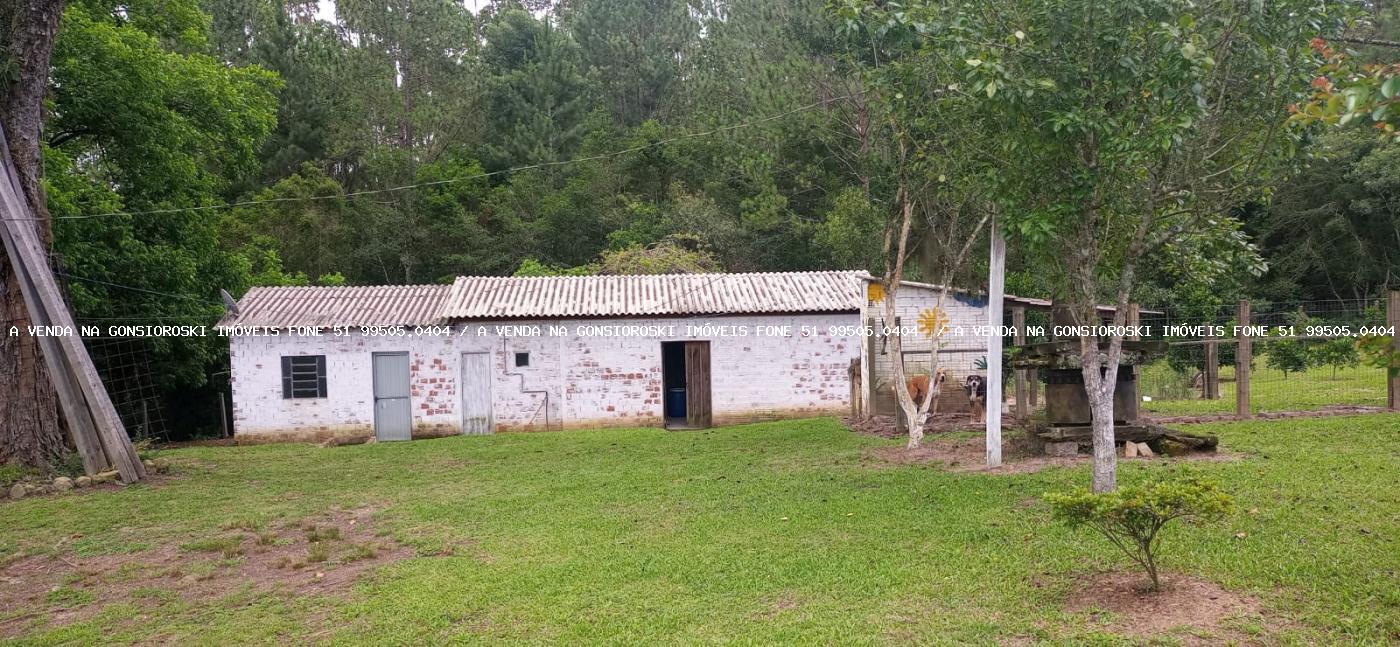 Fazenda, 13 hectares - Foto 31