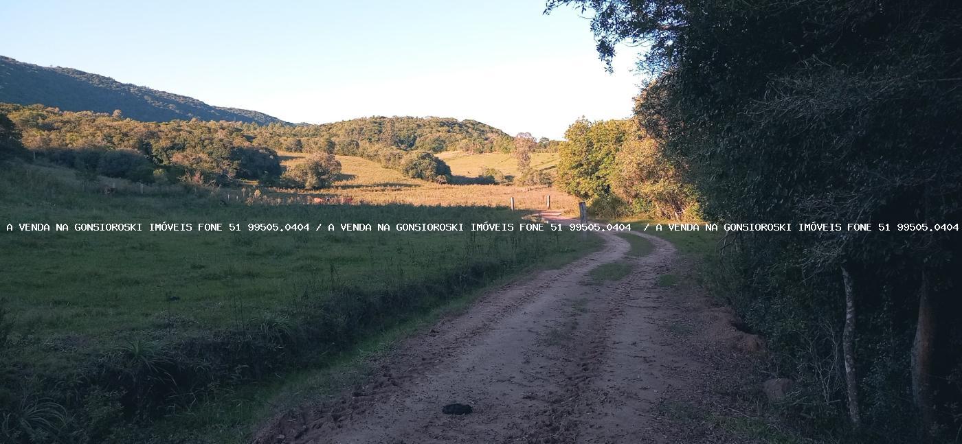 Sítio, 3 quartos, 6 hectares - Foto 17