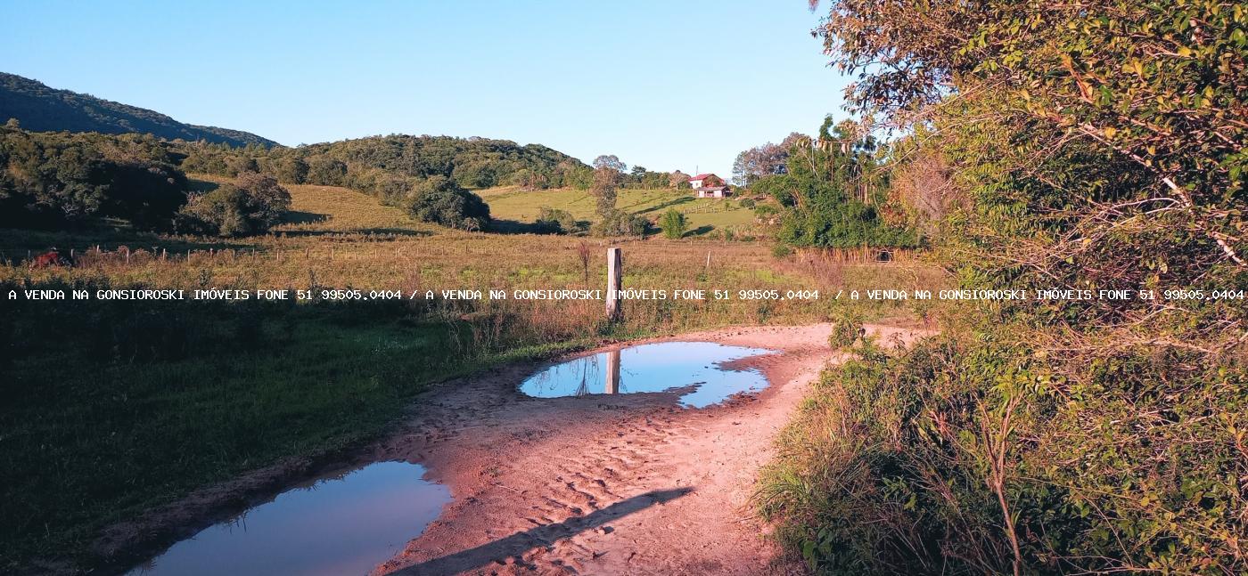 Sítio, 3 quartos, 6 hectares - Foto 18
