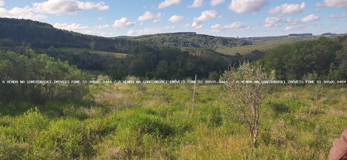 Fazenda, 19 hectares - Foto 19