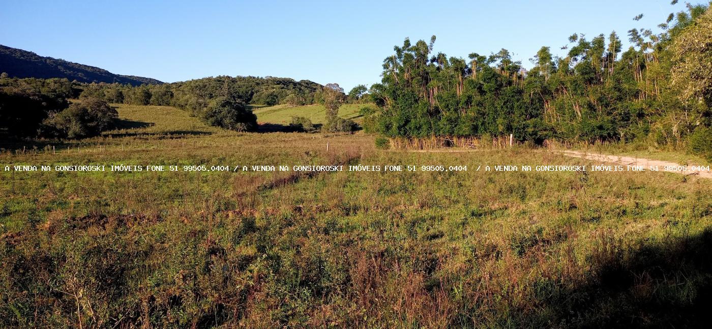 Sítio, 3 quartos, 6 hectares - Foto 19