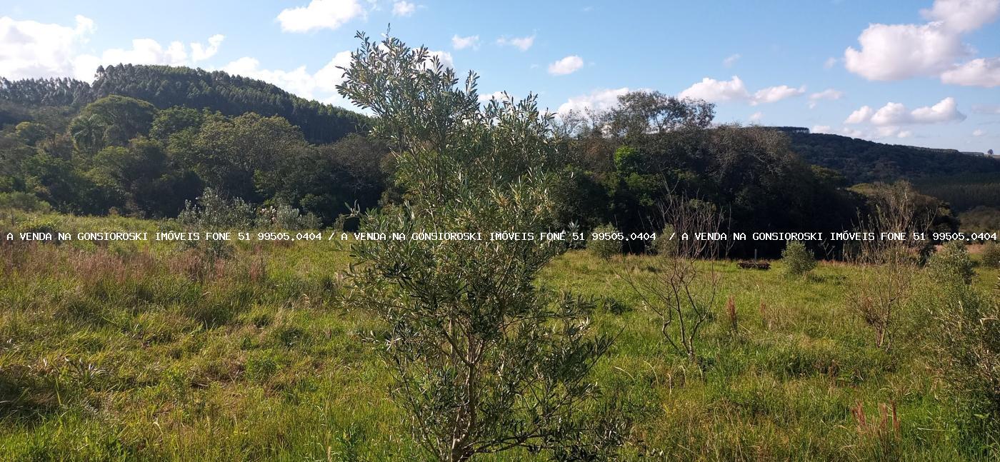 Fazenda, 19 hectares - Foto 20