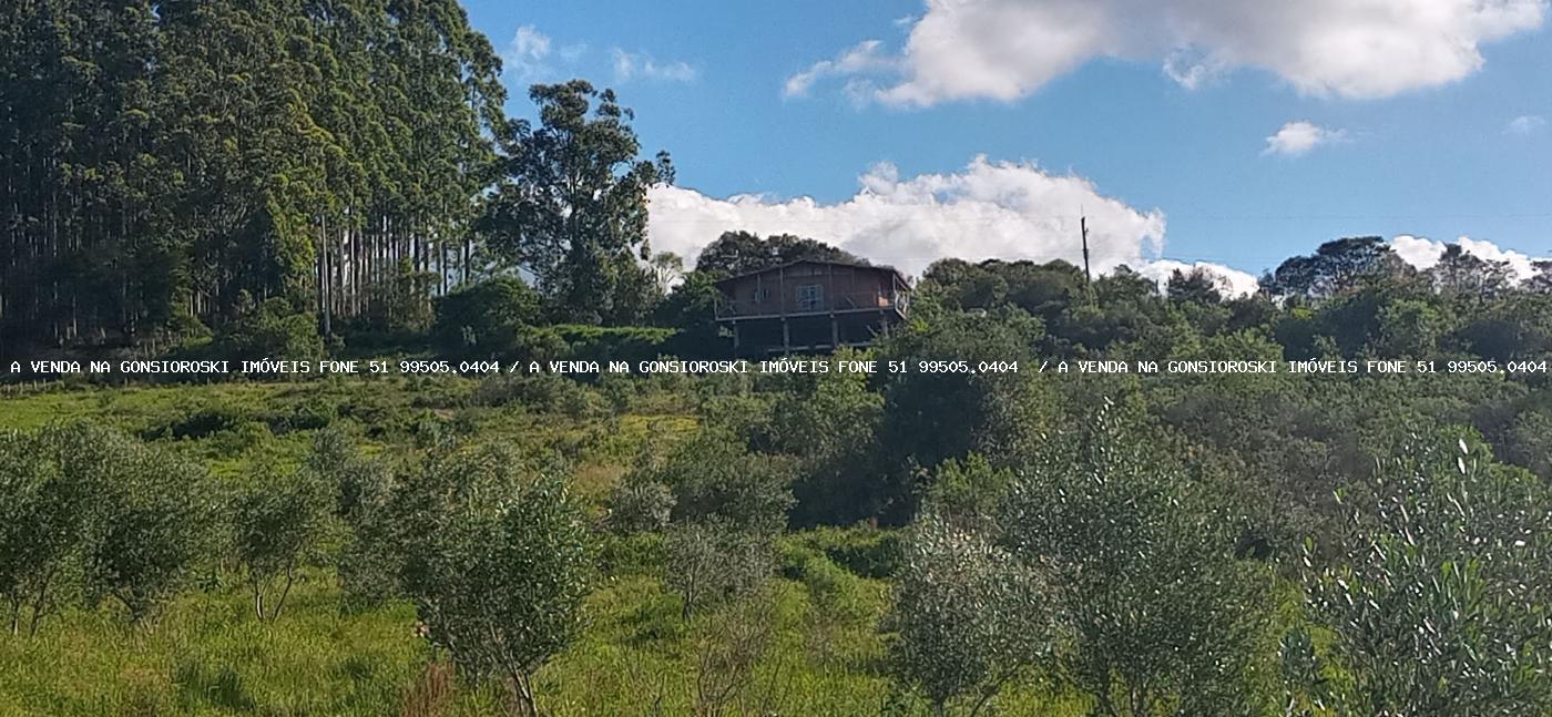 Fazenda, 19 hectares - Foto 21