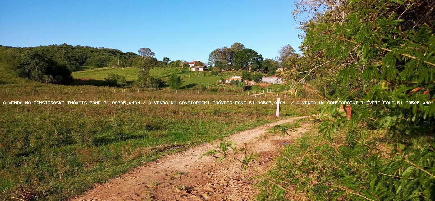 Sítio, 3 quartos, 6 hectares - Foto 21